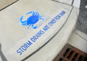 storm drains are only for rain 