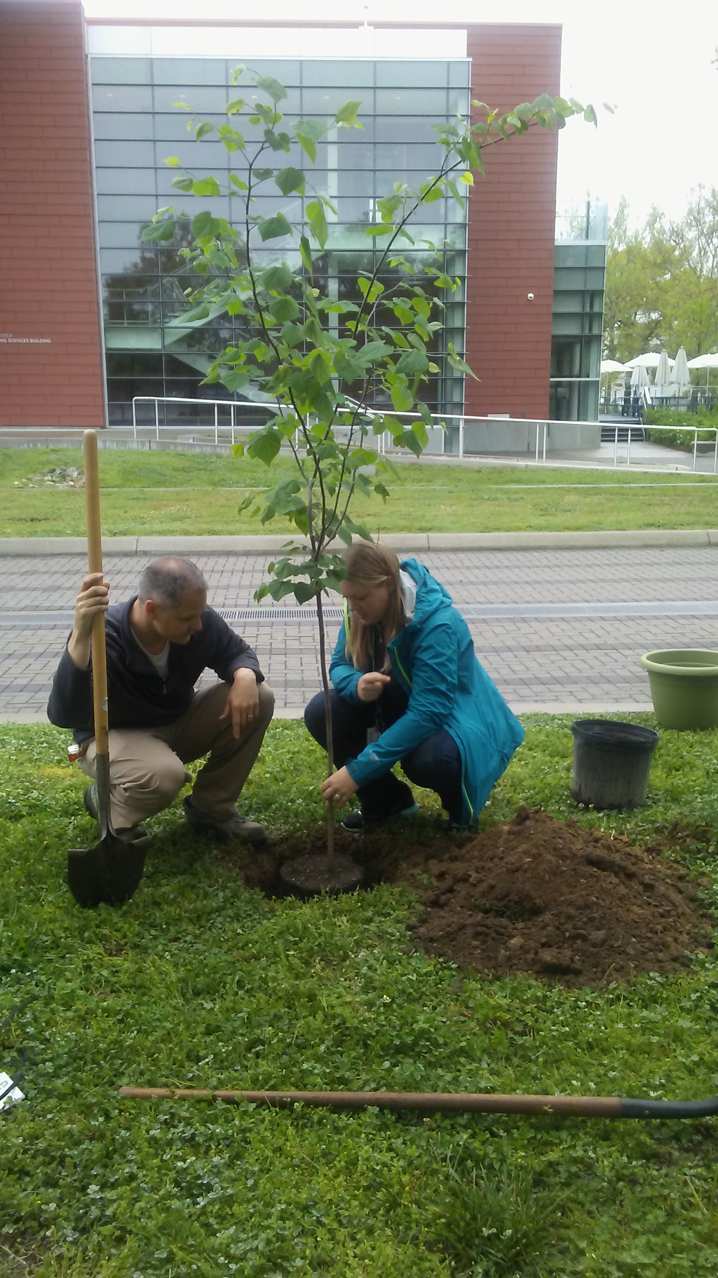 Arbor Day Tree Planting 2016 13