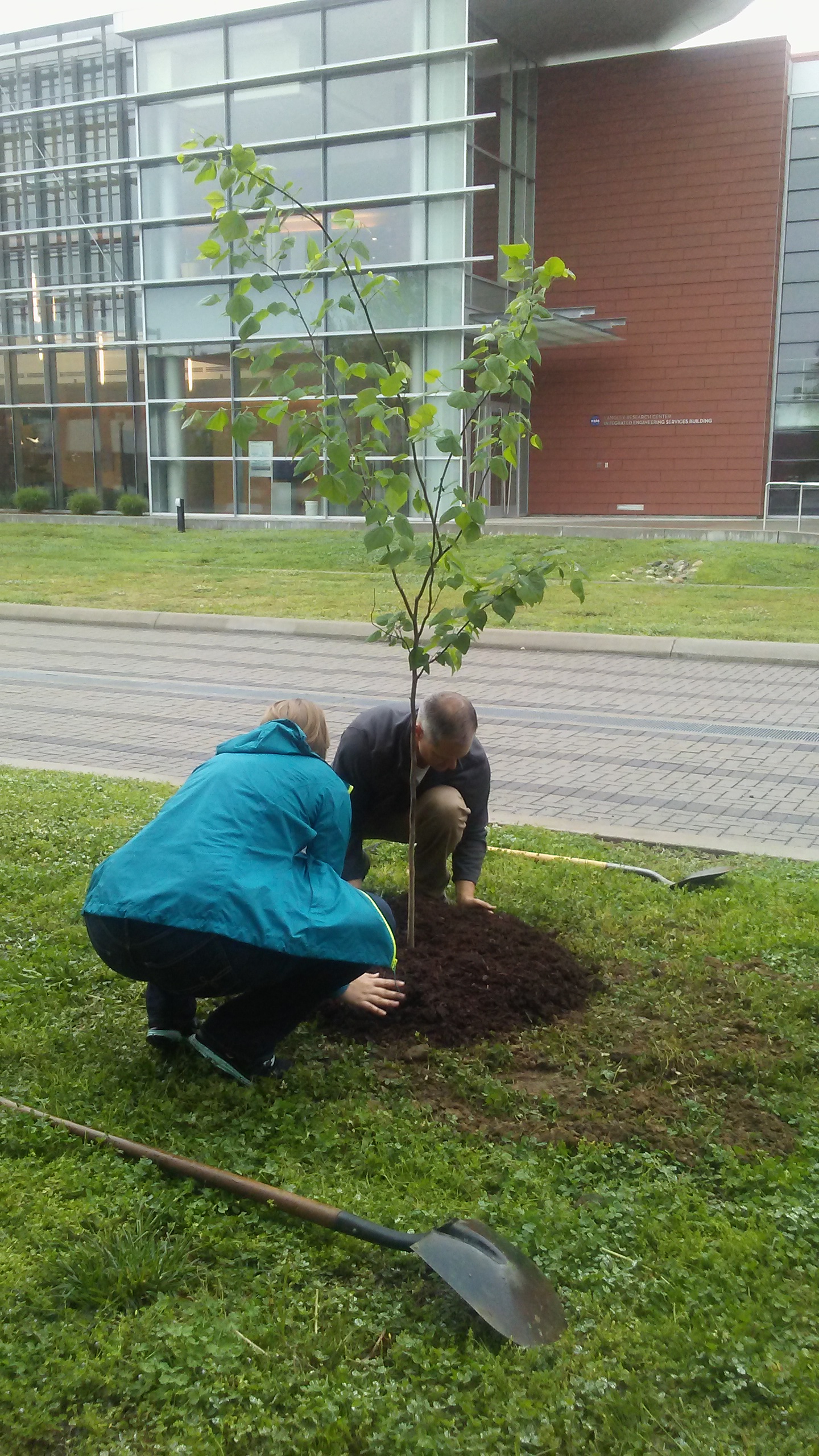 Arbor Day Tree Planting 2016 9