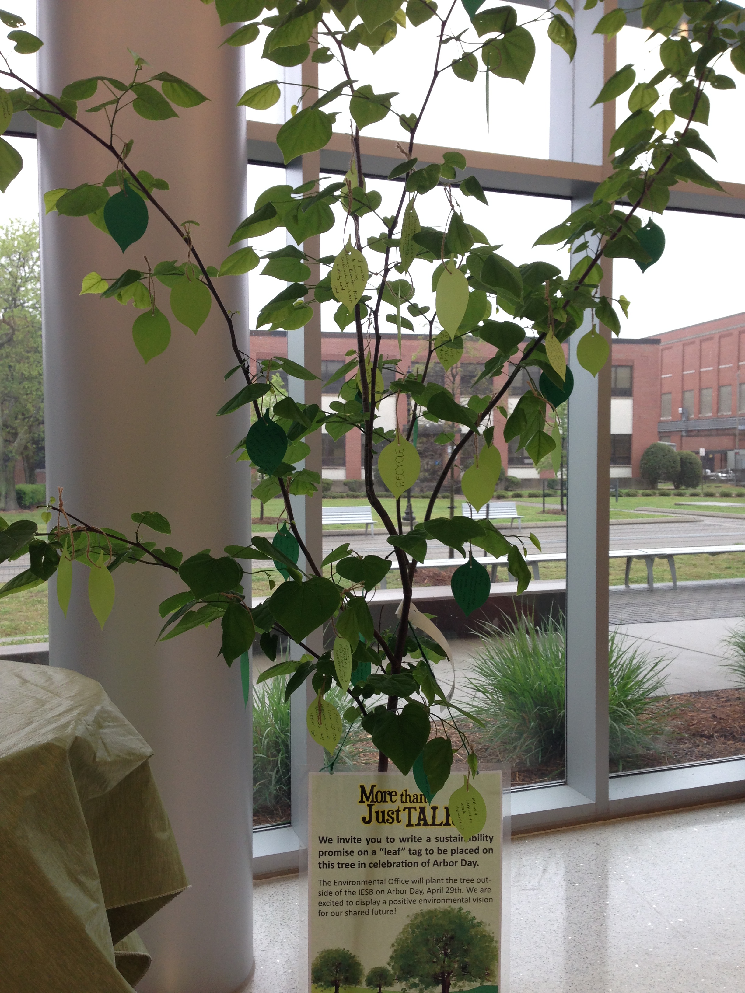 Arbor Day Tree Planting 2016 2