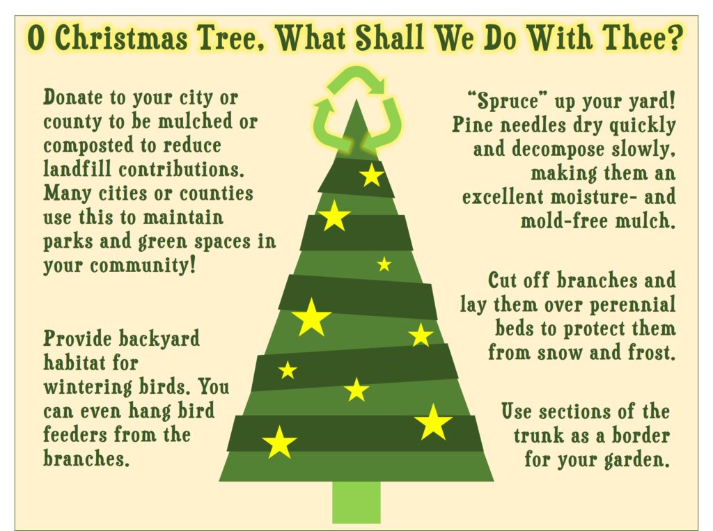 recycle christmas tree tip