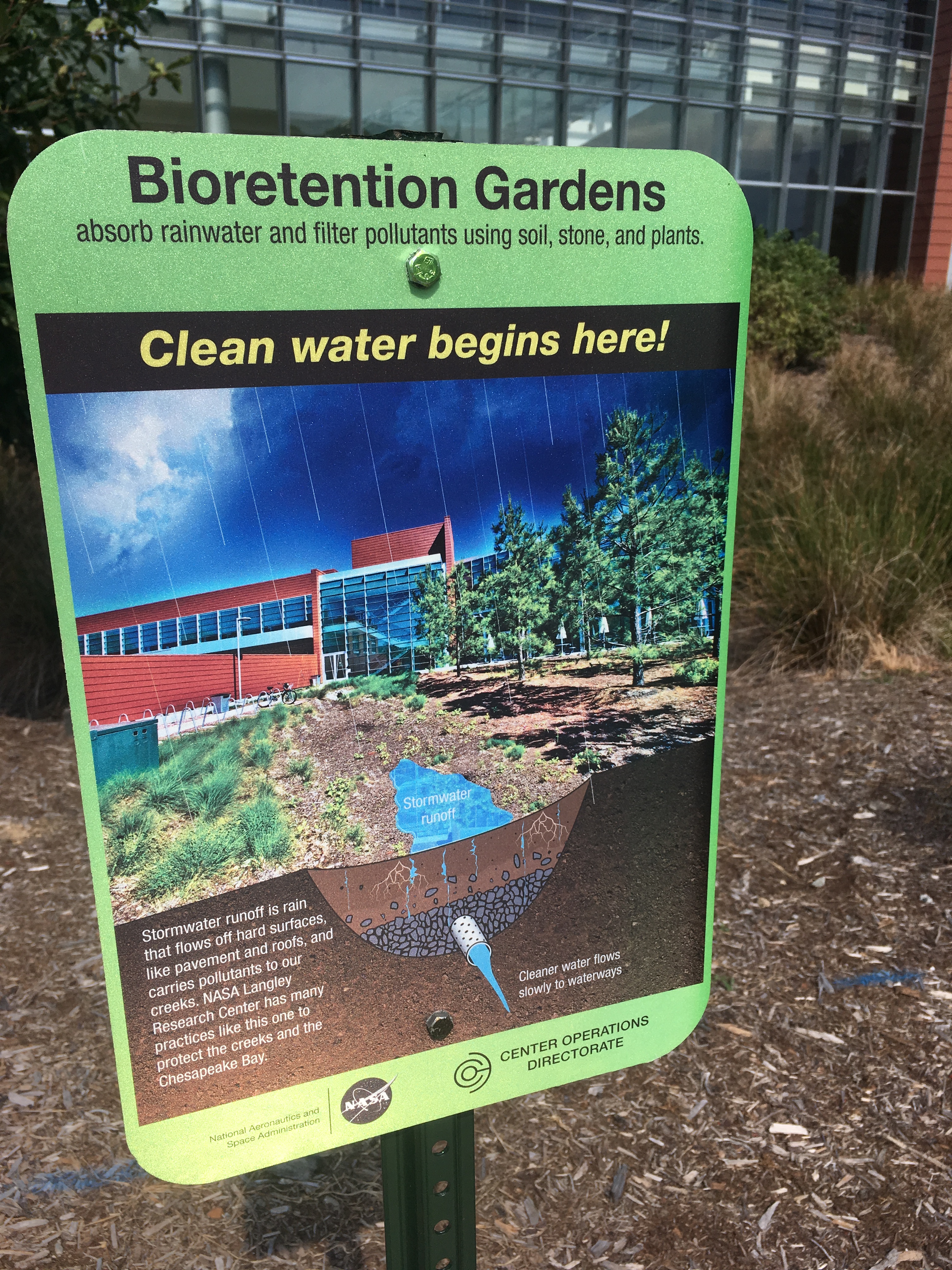 Bioretention Gardens IESB 2017 2