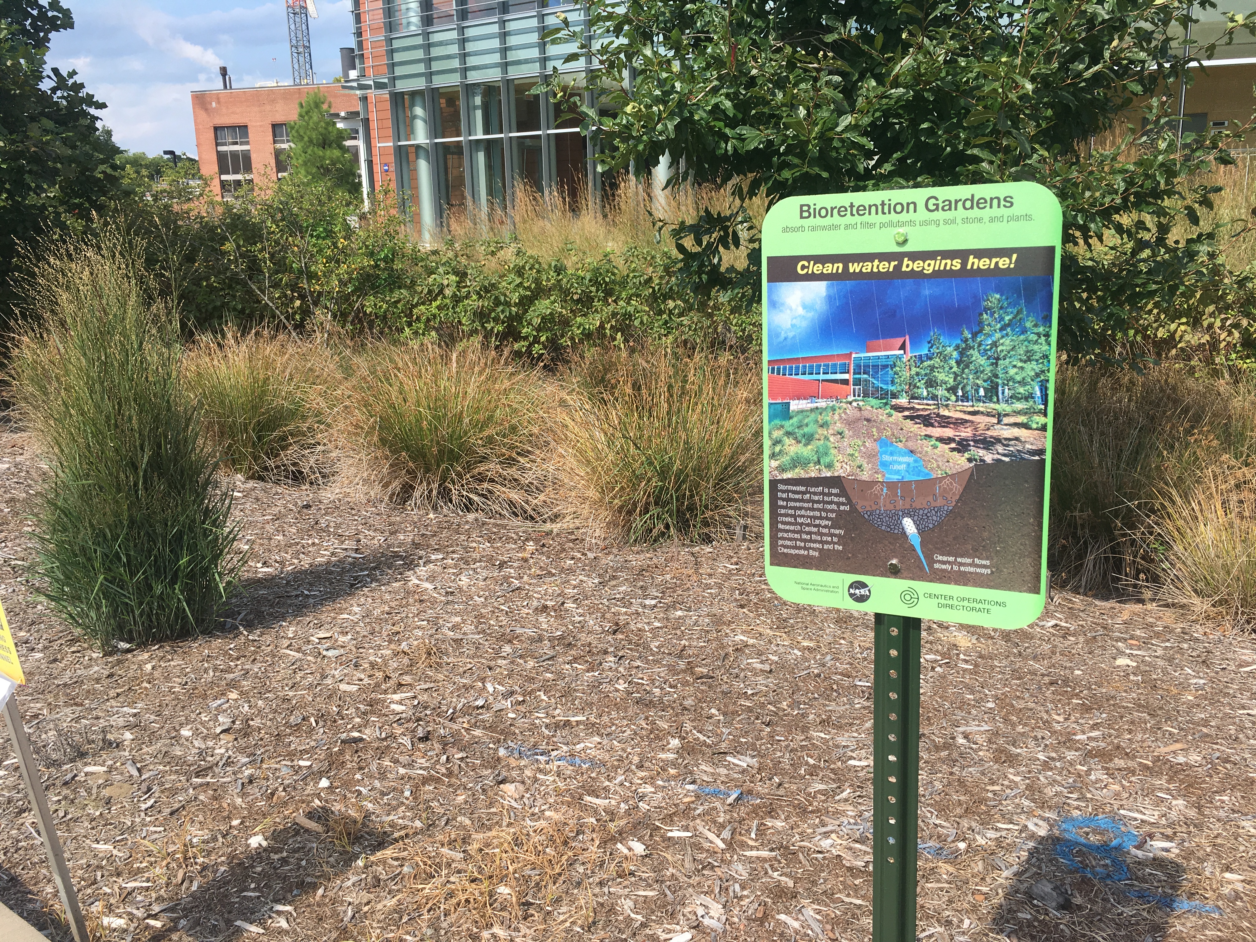 Bioretention Gardens IESB 2017