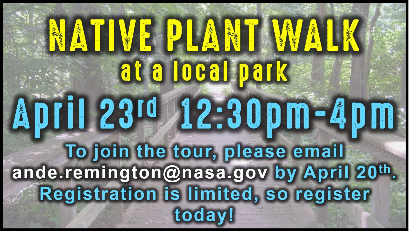 Native Plant Walk 2018 advertisement